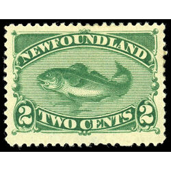 newfoundland stamp 47 codfish 2 1896 M VF 008