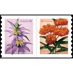 canada stamp 3415iii wildflowers 1 84 2024