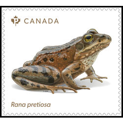 canada stamp 3421 rana pretiosa 2024