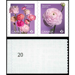 canada stamp 3374ai ranunculus 2023 M VFNH %2320