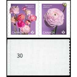 canada stamp 3374ai ranunculus 2023 M VFNH %2330