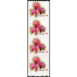 canada stamp 2357i striped coralroot 2010 M VFNH START